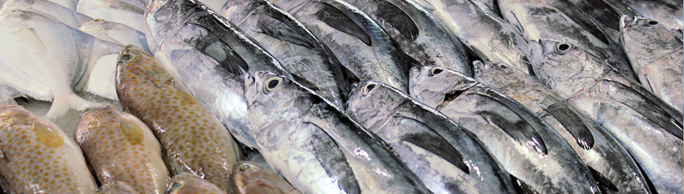 Союзпромснаб